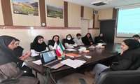 برگزاری جلسه کمیته ی پایان نامه و شورای پژوهشی 
