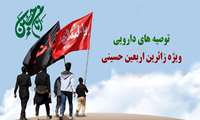 مدیر دارویی دانشگاه: زائرین اربعین ، دارو را در کیف جداگانه و دور از گرمای مستقیم نگهداری کنند