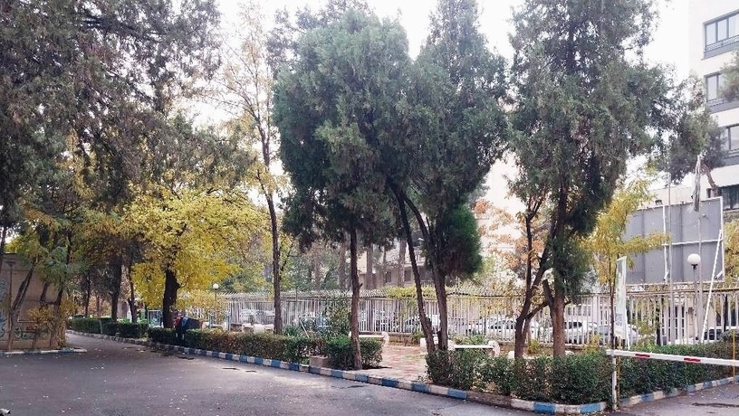 محوطه دانشکده دندانپزشکی